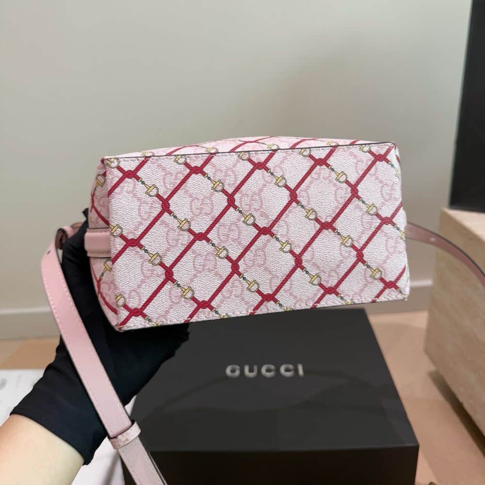 Gucci GG Emblem Small Bucket Bag Pink And Red 20Cm 815118 FAFF1 8649 - 画像 (6)