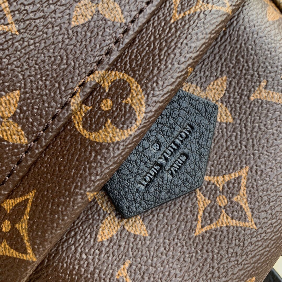Louis Vuitton Palm Springs Mini Backpack Monogram Canvas 22cm M44873 - 画像 (4)