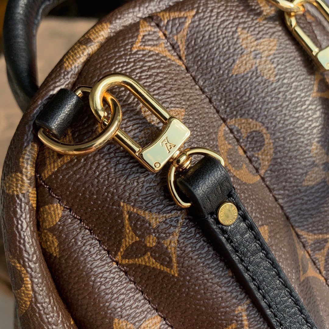 Louis Vuitton Palm Springs Mini Backpack Monogram Canvas 22cm M44873 - 画像 (5)