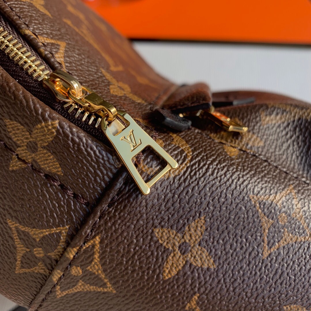 Louis Vuitton Palm Springs Mini Backpack Monogram Canvas 22cm M44873 - 画像 (6)