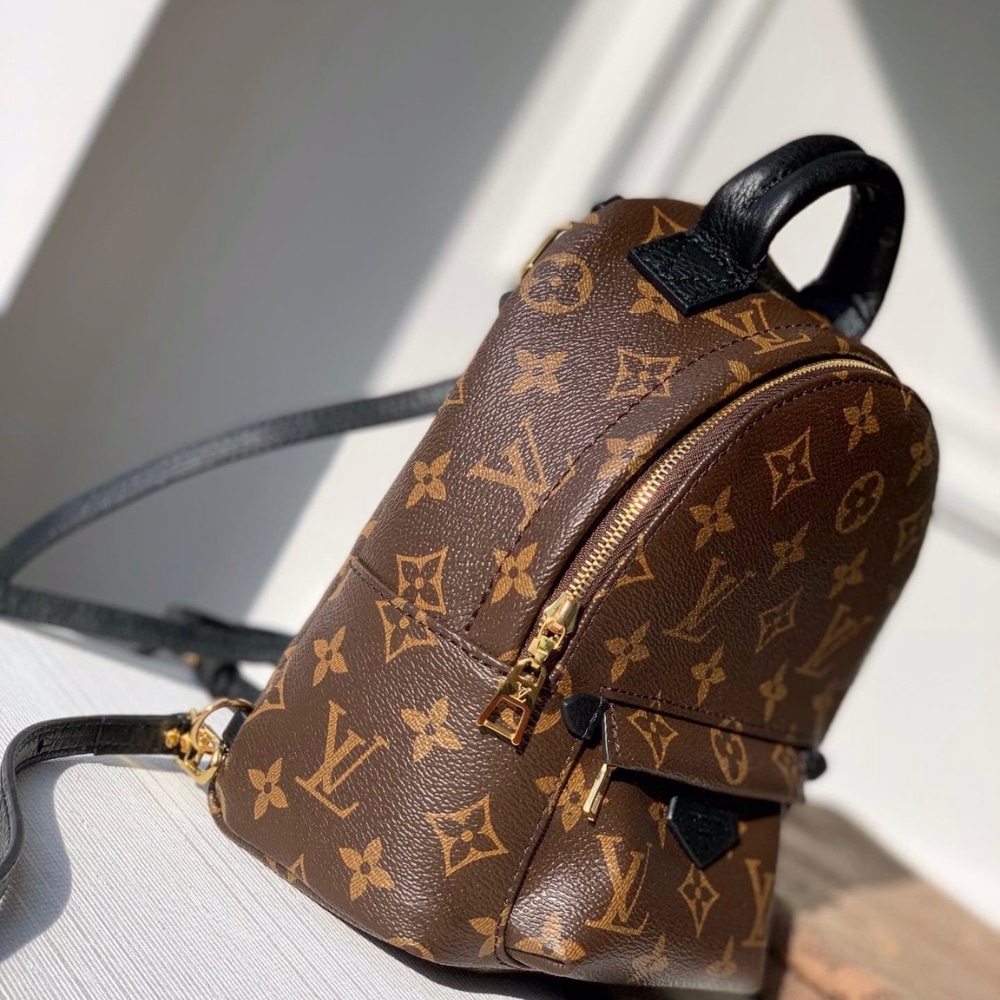 Louis Vuitton Palm Springs Mini Backpack Monogram Canvas 22cm M44873 - 画像 (2)