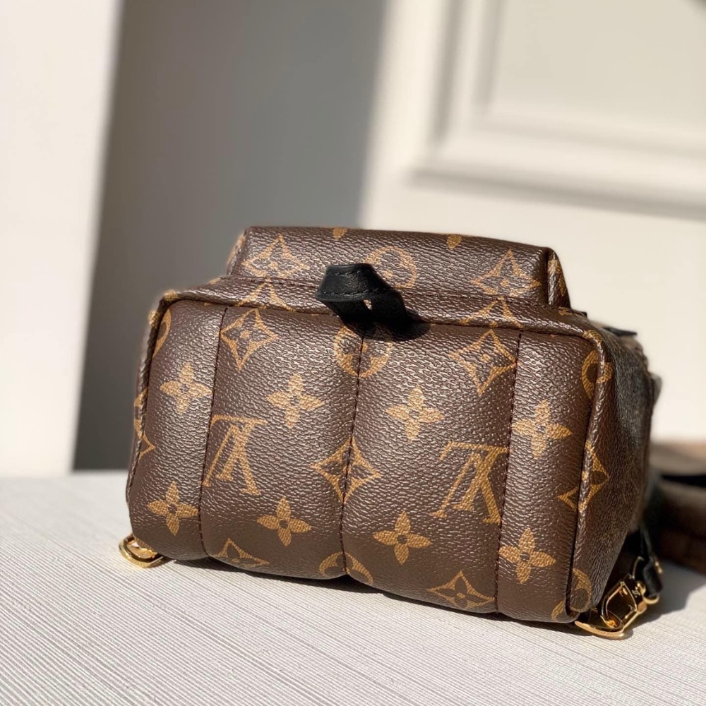 Louis Vuitton Palm Springs Mini Backpack Monogram Canvas 22cm M44873 - 画像 (3)
